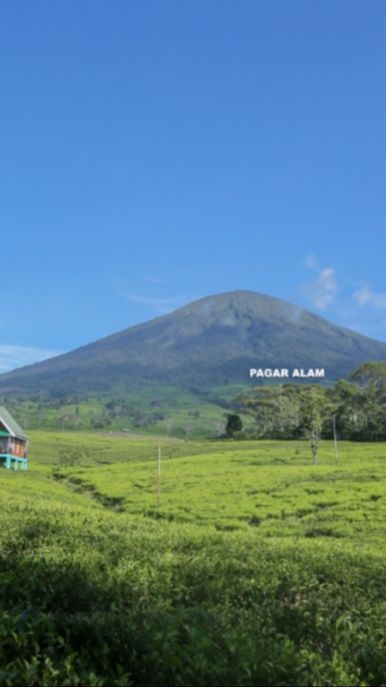 4 Fakta Gunung Dempo di Sumatra Selatan, Punya 2 Puncak hingga Misteri Manusia Harimau