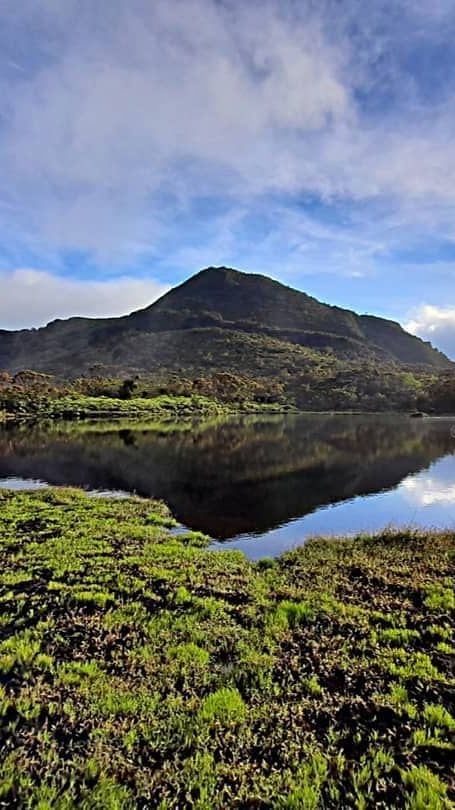 Dikabarkan Ada Bongkahan Emas di Puncaknya, Ini 4 Fakta Menarik Gunung Talamau Pasaman Barat