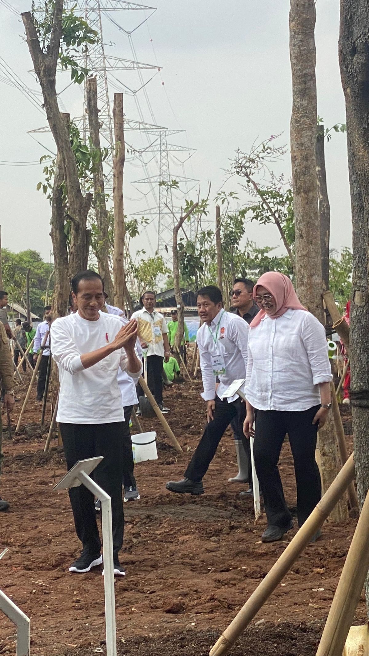 Antam Ikut Dampingi Jokowi dalam Tanam Pohon Bersama