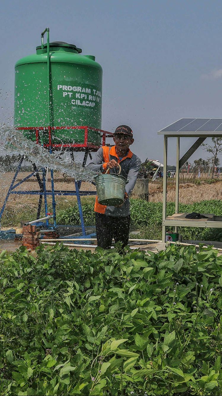 FOTO: Melihat Penggunaan Energi Terbarukan untuk Irigasi Pertanian di Cilacap