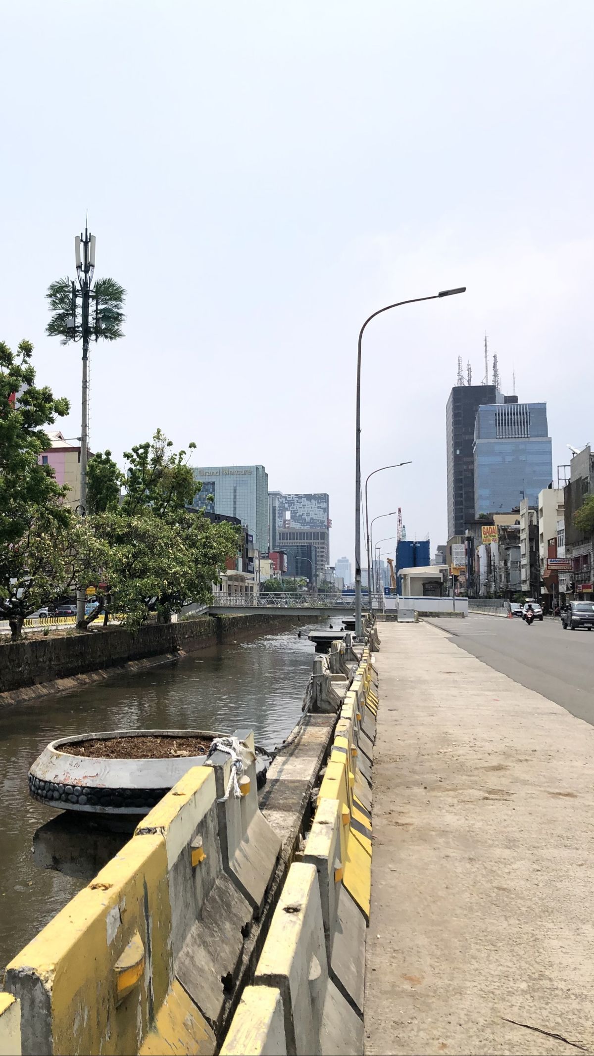 Menelusuri Kali Ciliwung Harmoni-Kota yang Viral Usai Ikan Mujair Bermunculan