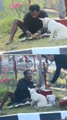 Pria Ini Makan Nasi Satu Bungkus Berdua dengan Anjing Tanpa Rasa Risi, Kisah di Baliknya Bikin Haru