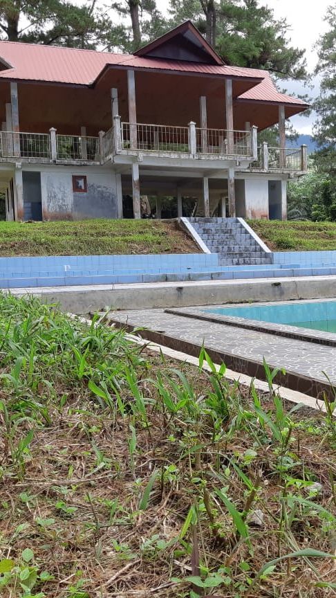 Napak Tilas Kolam Renang Peninggalan Belanda di Tapsel, Lokasinya Dikelilingi Hutan Pinus dan Lahan Sawit