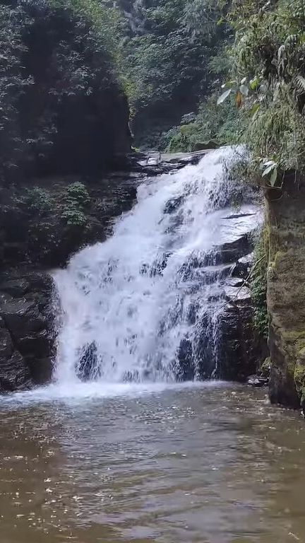 Menikmati Keindahan Curug Muara Jaya yang Estetik di Majalengka, Lokasinya Syahdu di Tengah Hutan