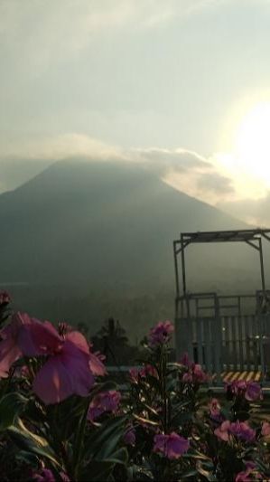 Pesona Bukit Idaman Gisting di Lampung, Bak Negeri di Atas Awan