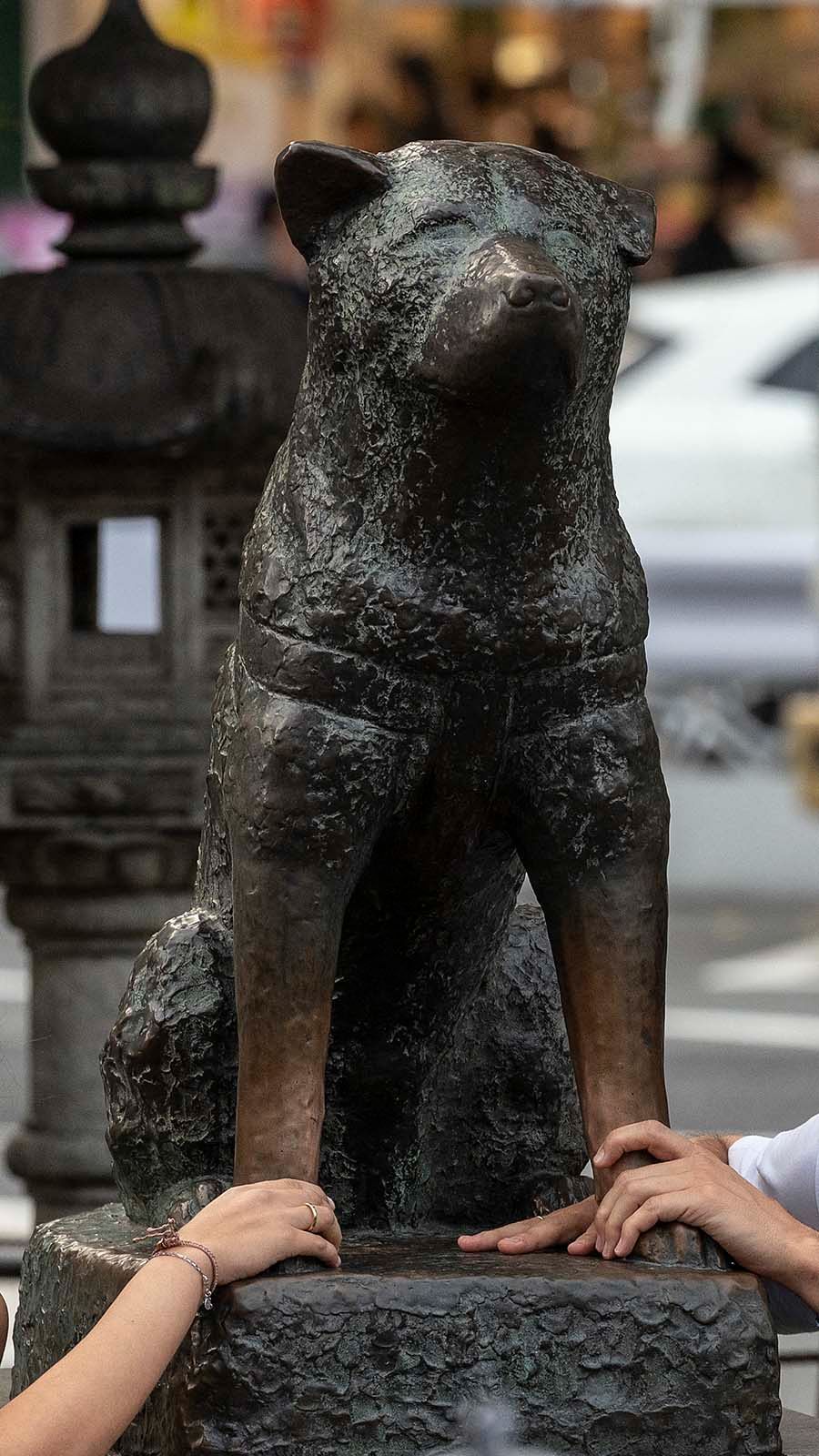 FOTO: Kisah Haru Hachiko Anjing Setia dari Jepang yang Berusia 100 Tahun