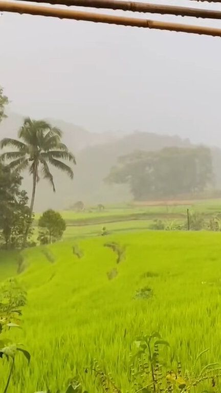 Indahnya Kampung Sukatinggal Tasikmalaya saat Diguyur Hujan, Pemandangan Sawahnya Curi Perhatian