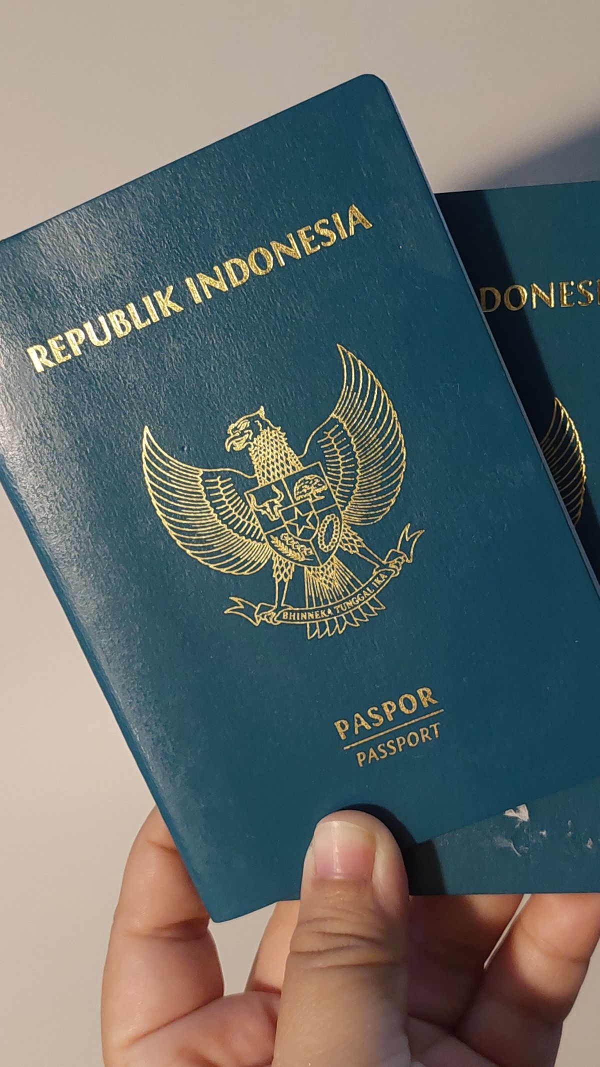 Daftar Negara yang Bebaskan Visa Bagi Pemegang Paspor Indonesia