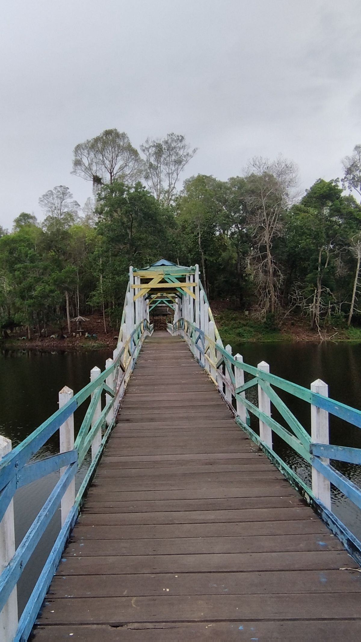 Menikmati Wisata Mangrove Lati Tuo Desa Klempang Sari Kabupaten Paser