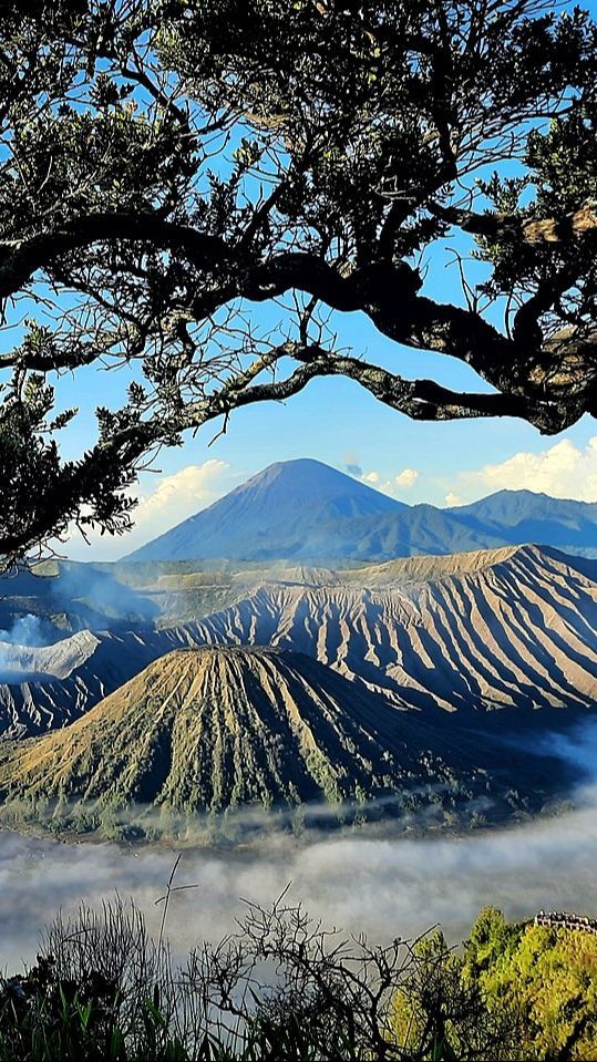 Aktivitas Vulkanis Kawah Gunung Bromo Meningkat, Masyarakat Diimbau Waspada Letusan Freatik