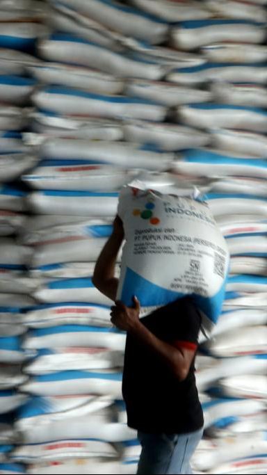 Sambut Musim Tanam 2024, Pupuk Indonesia Siapkan Stok 1,2 Juta Ton Pupuk untuk Petani