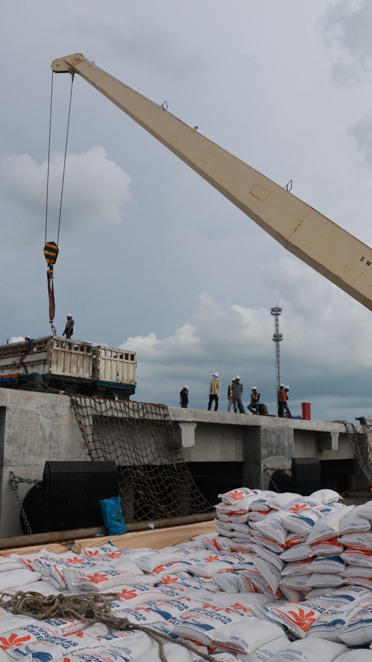 Kapan Harga Beras Turun? Begini Penjelasan Bulog