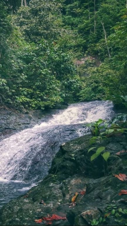 Air Terjun Doyam Gerigu, Wisata Alam di Desa Sumentai yang Memesona