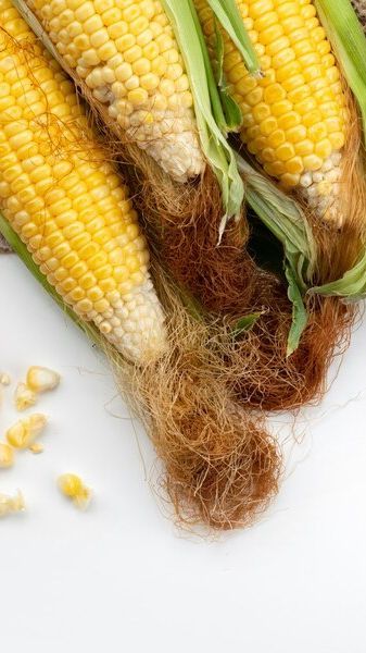 Siapa Sangka Ternyata Rambut Jagung Memiliki Manfaat yang Bagus untuk Tubuh