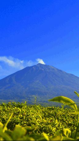 Mengupas Mitos Orang Bunian, Makhluk Bertubuh Pendek yang Dipercaya Tinggal di Kaki Gunung Kerinci