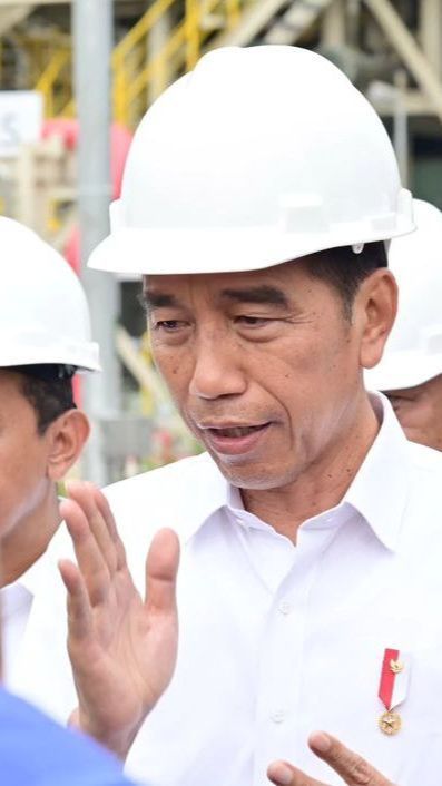 Jokowi Senang Banyak Investor Swasta Masuk IKN