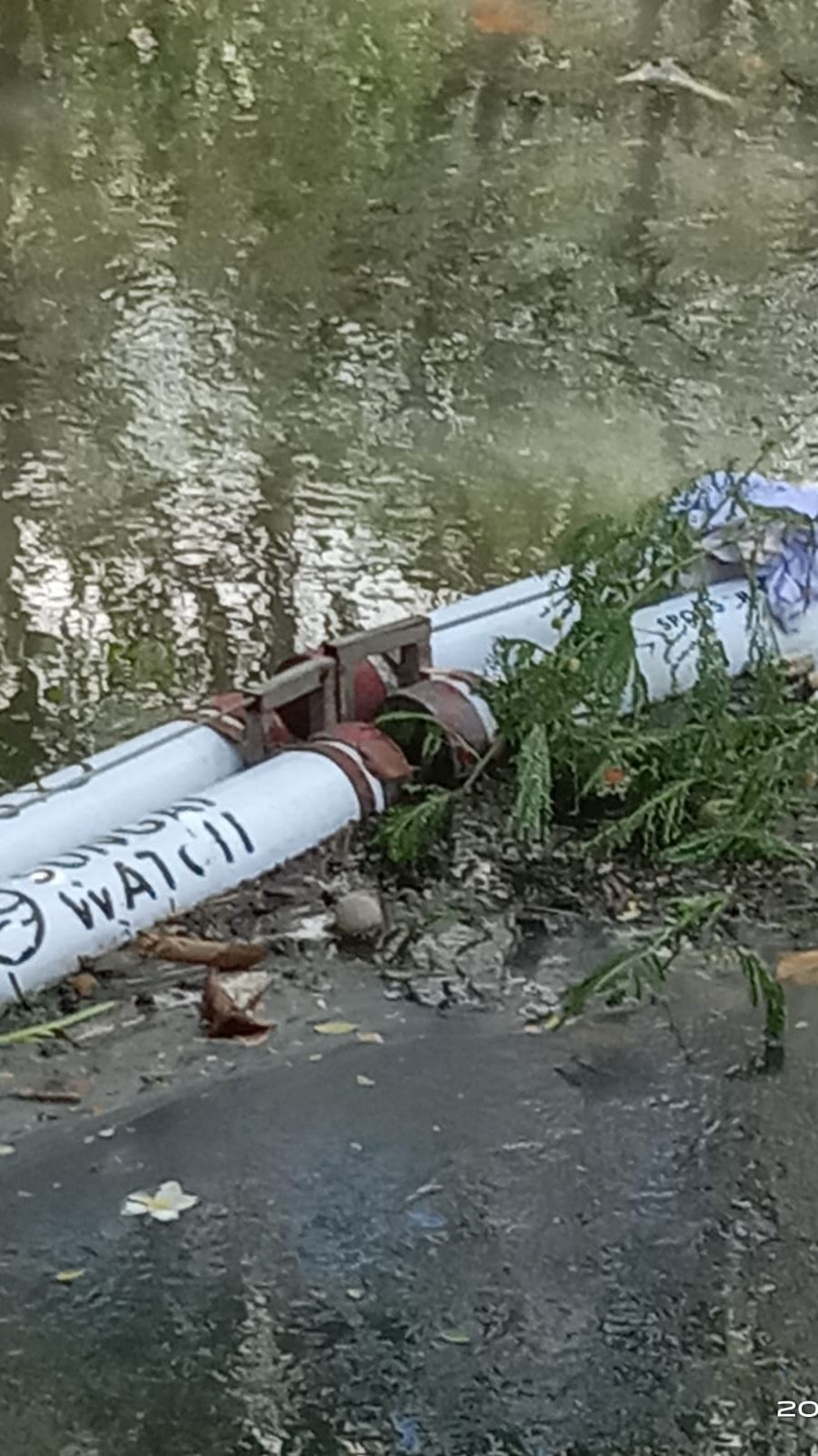 Jasad Bayi Ditemukan Tersangkut Jaring Sampah di Sungai Denpasar