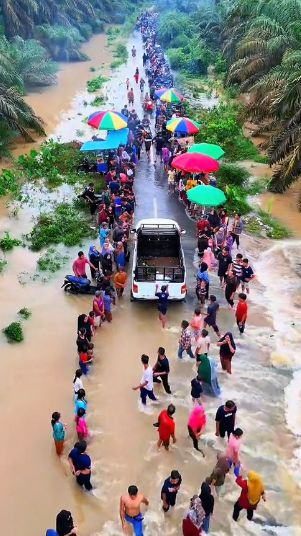 VIDEO: Banjir di Kebun Sawit Riau Malah Jadi Lokasi Wisata Dadakan, Pedagang Berjejer Sepanjang Jalan