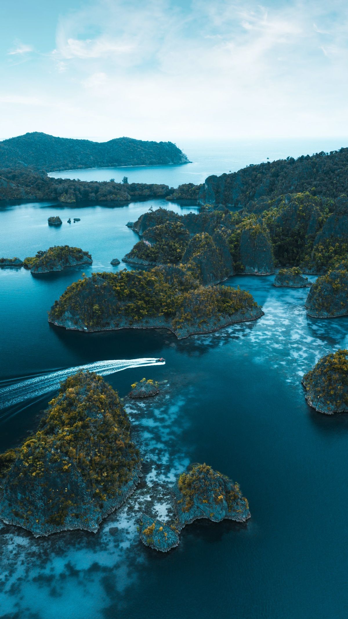 5 Fakta Unik dari Raja Ampat, Destinasi Wisata Favorit dengan Terumbu Karang Terlengkap di Dunia