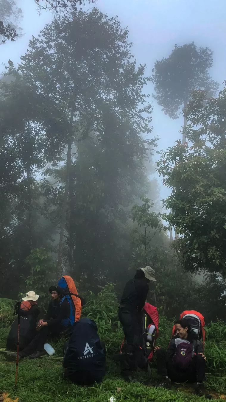 Medannya Sulit Ditaklukkan, Ini Fakta Menarik Gunung Bandahara di Provinsi Aceh