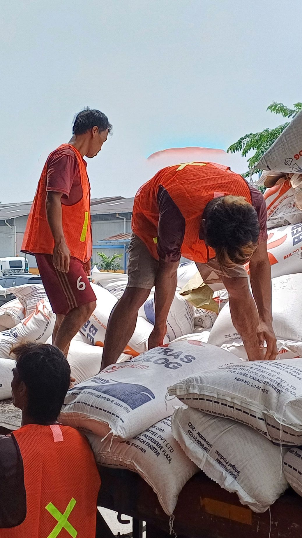 Wamen BUMN: Beras Bulog Bebas Kutu dan Tidak Pecah-Pecah, Sudah Setara Beras Premium