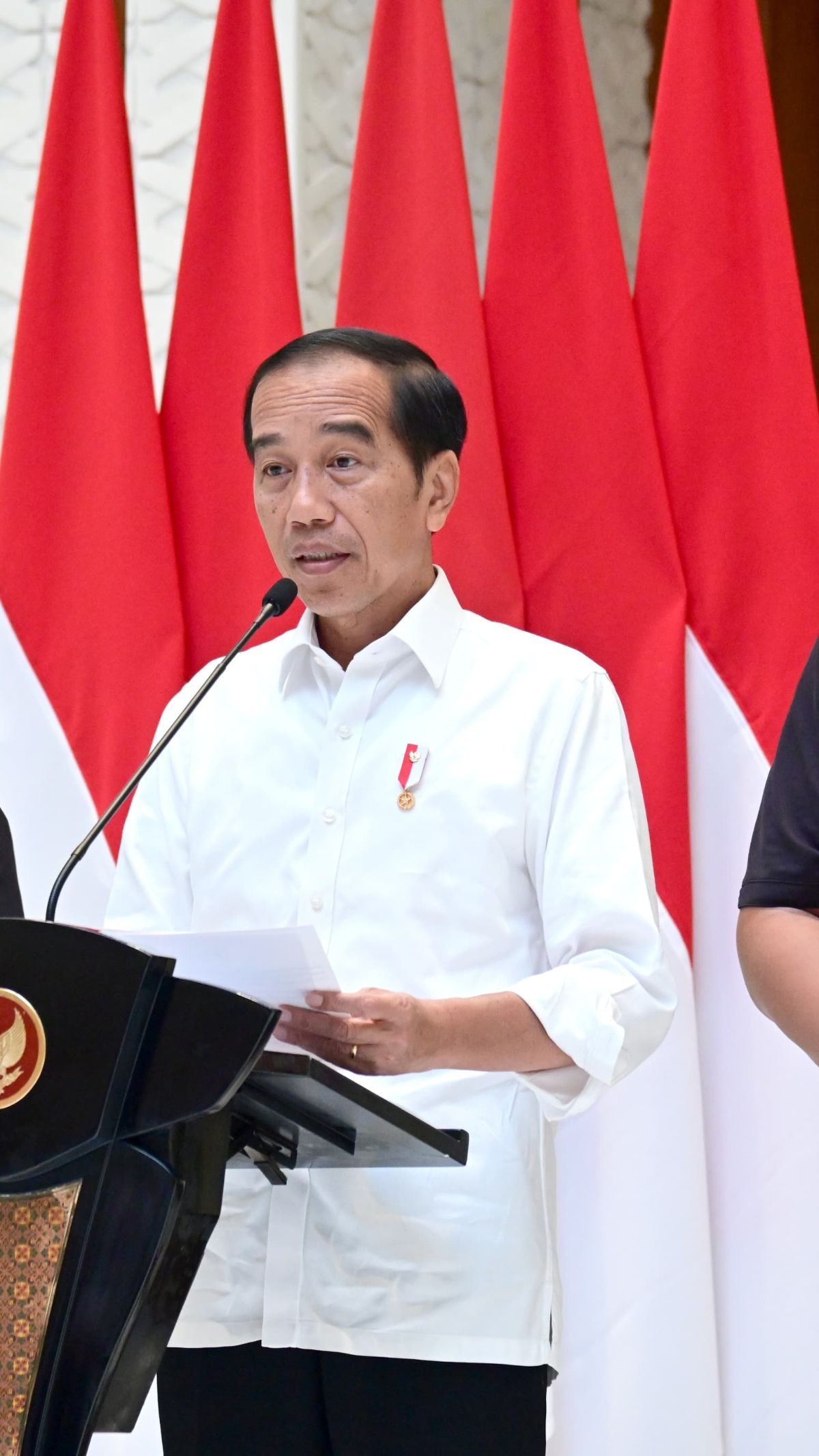 Jokowi Minta Mahfud MD Tangani Pengungsi Rohingya