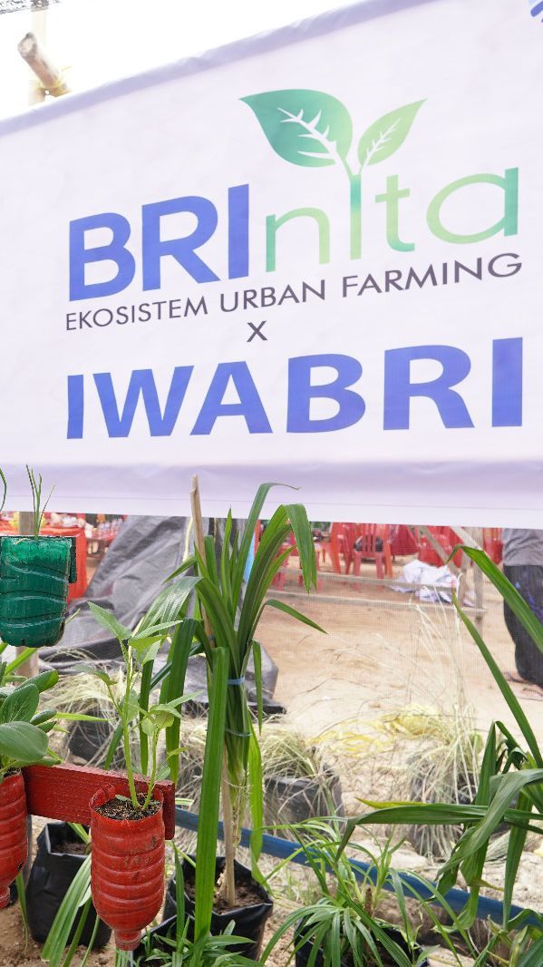 Warga Tuminting & BRI Ubah Lahan Timbunan Sampah Jadi Lahan Urban Farming 'BRInita'