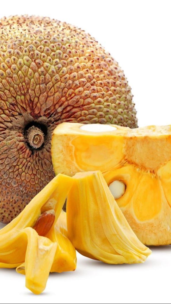 Resep Nangka Matang yang Enak dan Legit, Mudah Dibuat