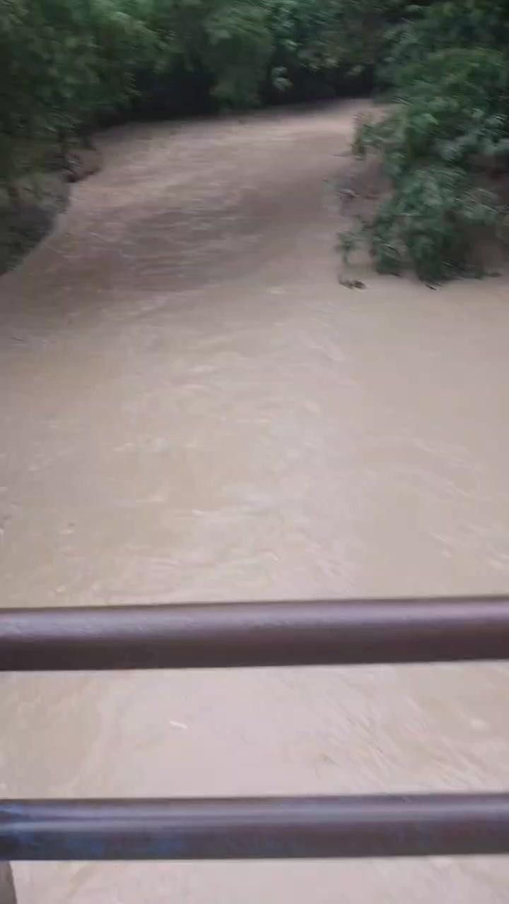 VIDEO: Enggak Ada Takutnya, Anak-Anak Nekat Berenang di Sungai Dengan Arus Deras