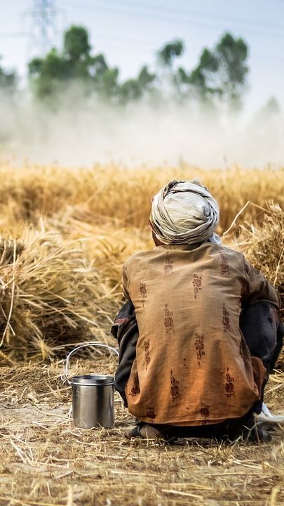 Mengenang Peristiwa Tanjung Morawa, Konflik Agraria hingga Jatuhnya Kabinet Wilopo