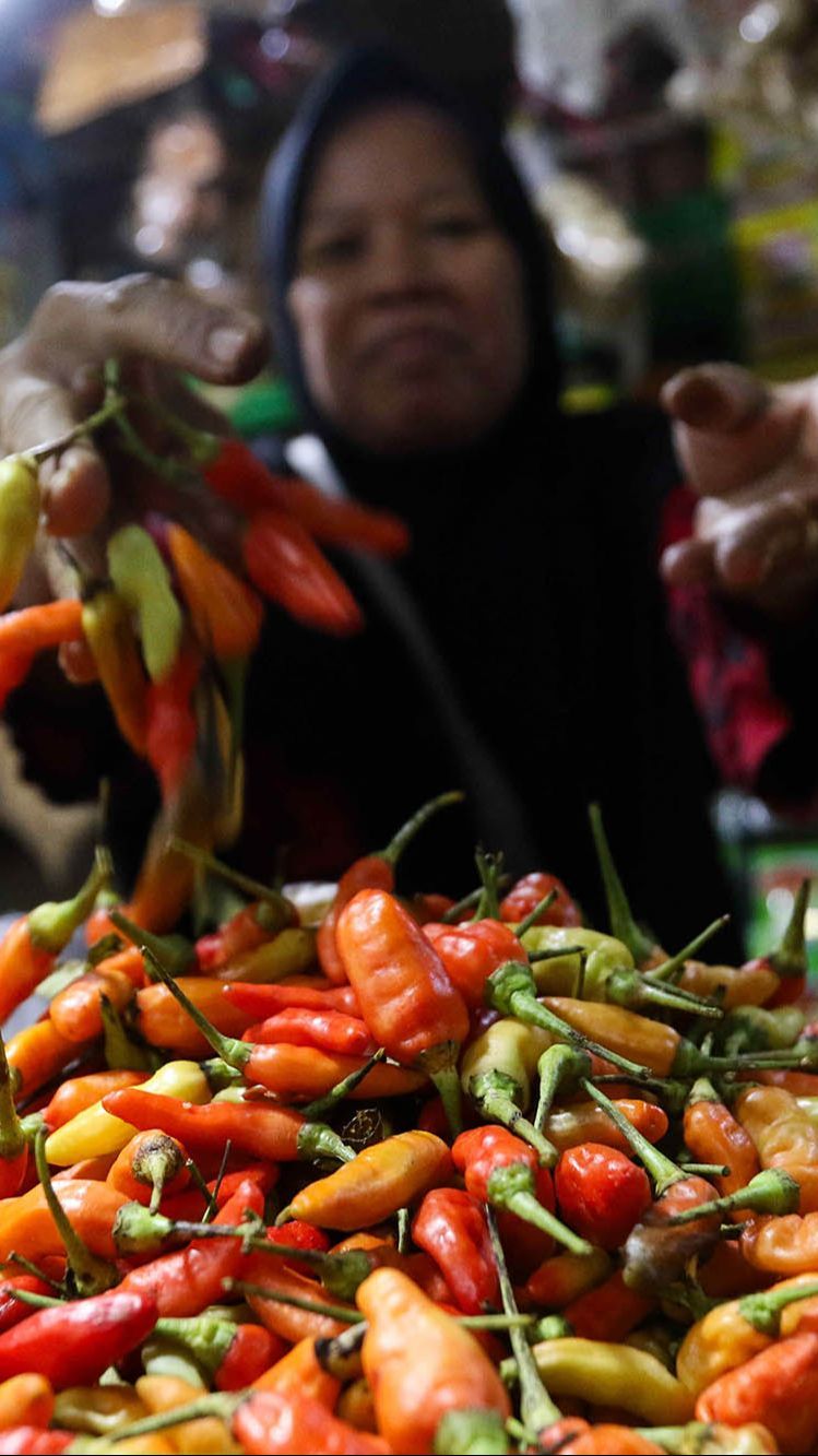 FOTO: Makin Pedas! Harga Cabai Rawit Tembus Rp105 Ribu per Kilogram, Ini Penyebabnya