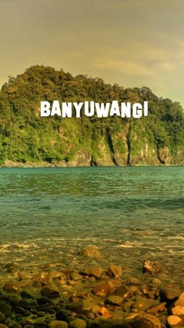 Banyuwangi Jadi Daerah Bebas Korupsi dan Paling Bertanggung Jawab di Indonesia, Ini Fakta di Baliknya