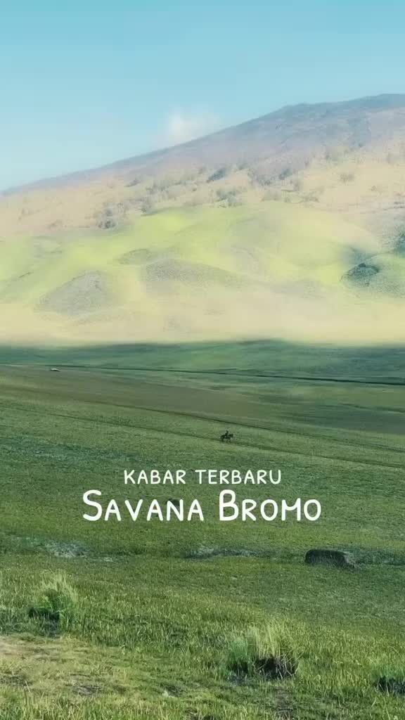 VIDEO: Wajah Baru Savana Gunung Bromo Usai Kebakaran, Kembali Menghijau Bak Lukisan