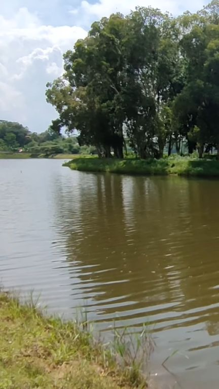 Daya Tarik Situ Abidin di Bekasi,  dari Menikmati Sunset hingga Ziarah ke Makam Keramat