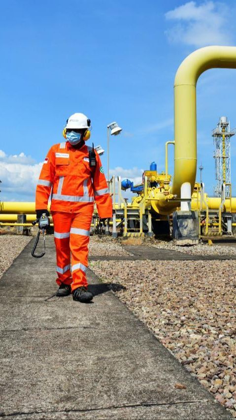 Dewan Energi Nasional: Pembangunan Infrastruktur Gas Pertamina Perkuat Ketahanan Energi