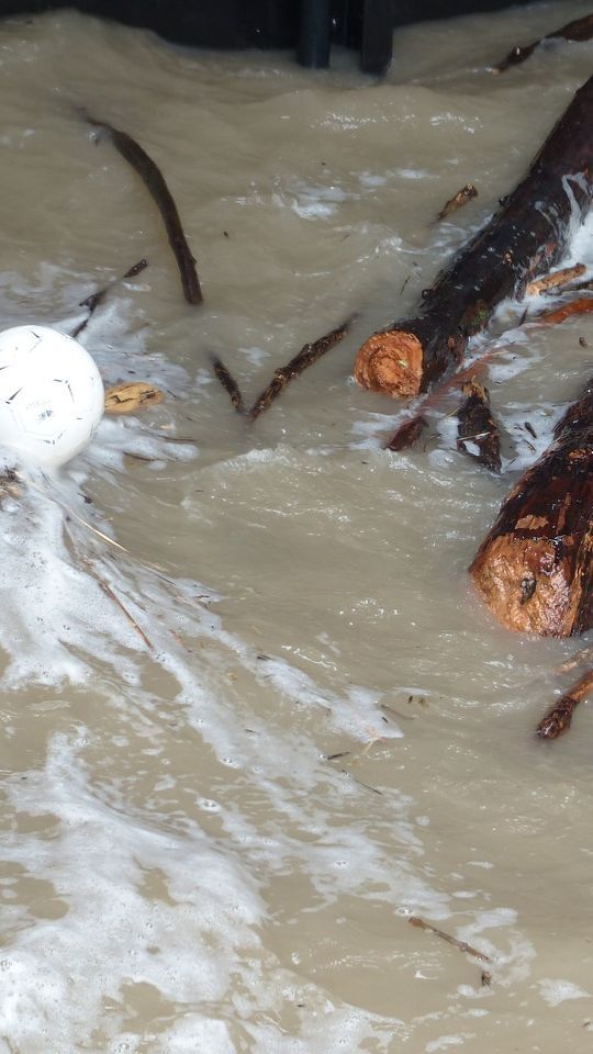 Viral Penampakan Gang di Surabaya Terkena Banjir, Aksi Pria Berenang Ini Curi Perhatian