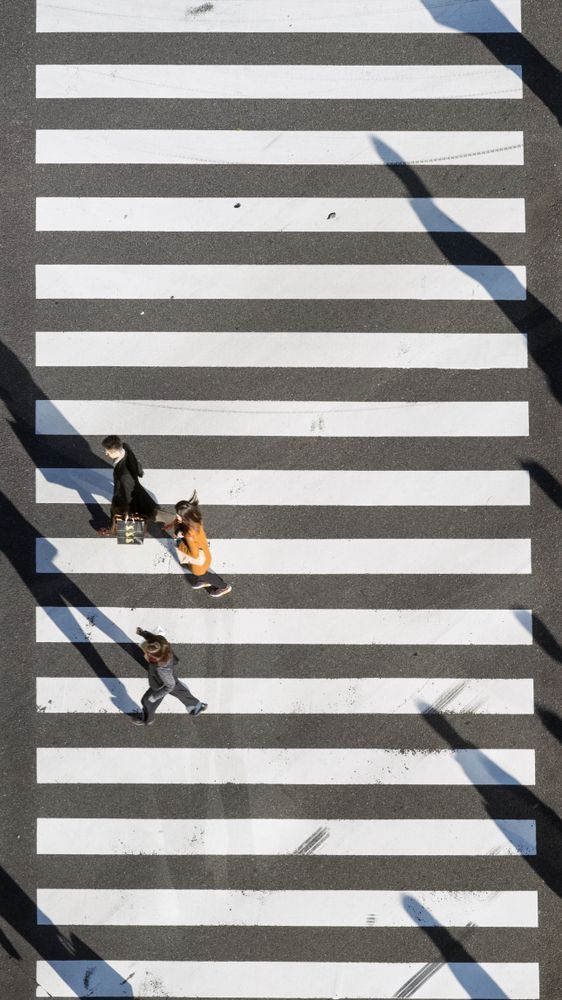 Kenapa Zebra Cross Berwarna Hitam Putih?