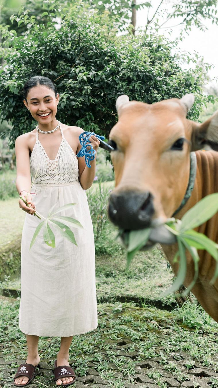 Cantik Natural, Intip Momen Novia Bachmid Angon Kerbau dan Bebek