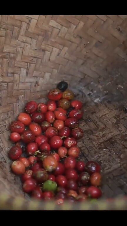 Mengenal Tiga Kopi Asli Batang, Nikmat dan Punya Makna Khusus