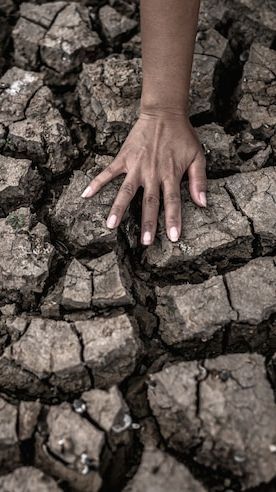 Probolinggo Terancam Kekeringan dan Krisis Air Bersih, Warga Terpaksa Minum Air Kubangan Sungai