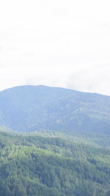 Gunung Leuser, Jalur Pendakian Terpanjang di Indonesia