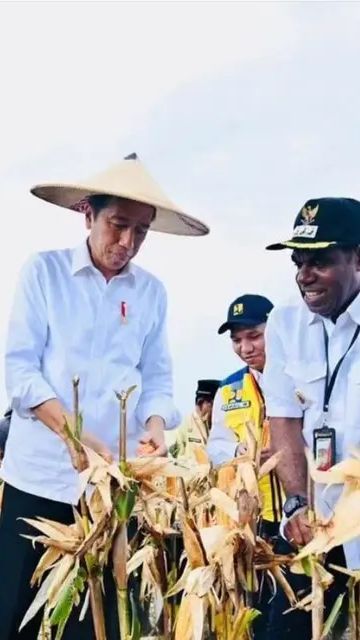 Pembangunan Proyek Food Estate Tunggu Aturan Resmi Jokowi