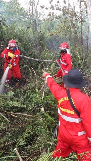 547 Hotspot Terdeteksi, Jambi Siaga Karhutla Jelang Puncak Kemarau