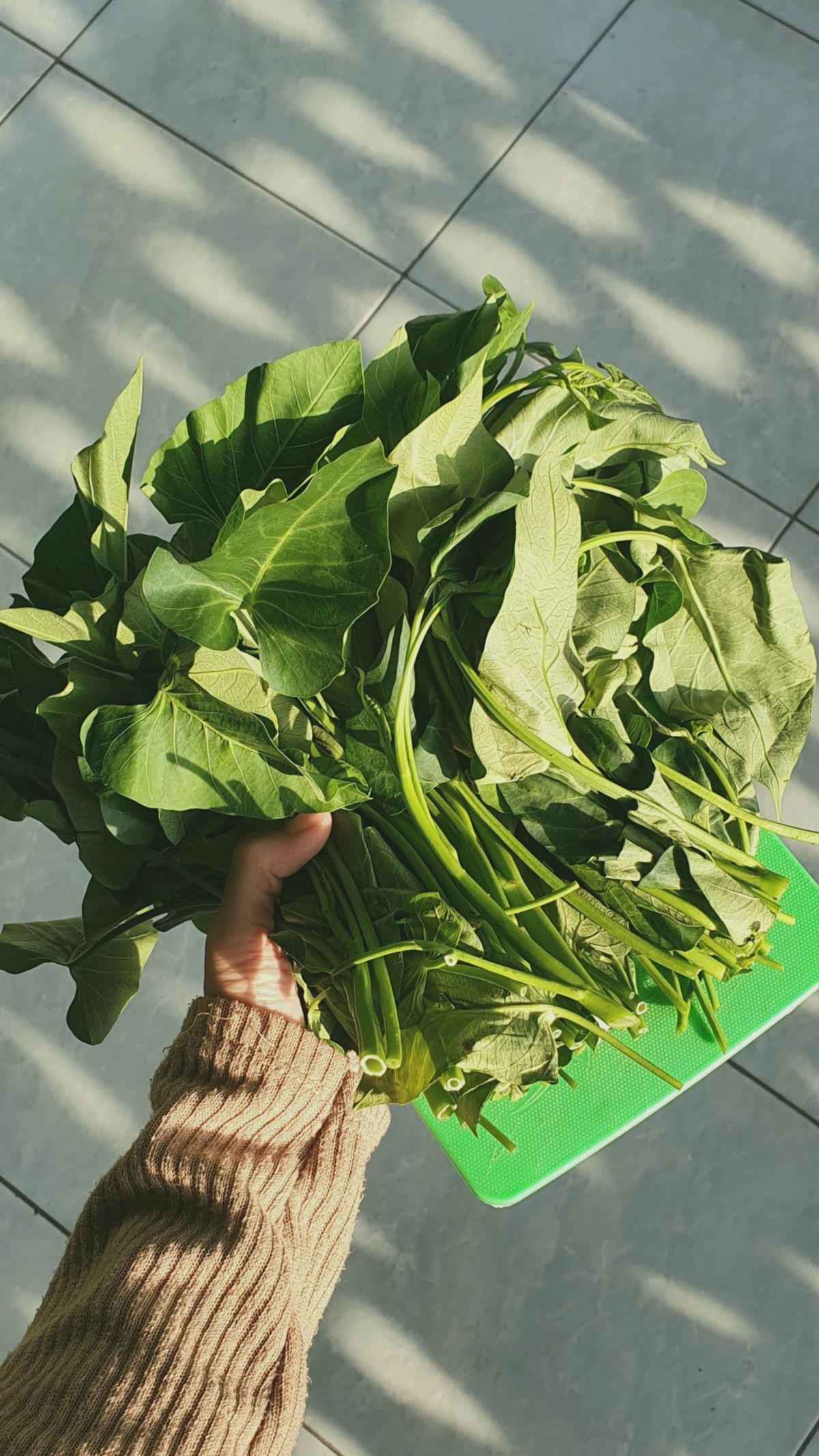 6 Olahan Kangkung Selain Tumis Praktis ala Rumahan, Ini Resepnya