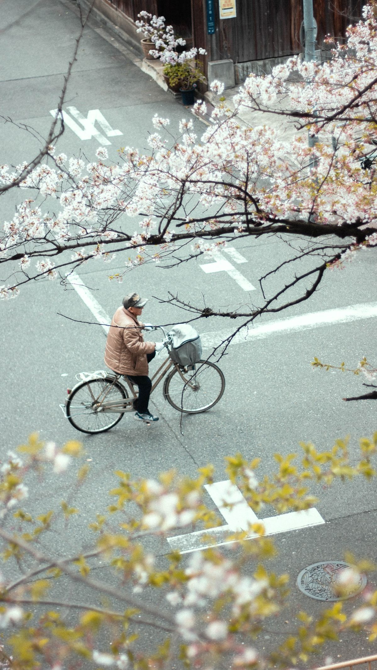 Mengenal 4 Pilar Ikigai, Filosofi Hidup 3000 Tahun dari Jepang dan Manfaatnya untuk Mental