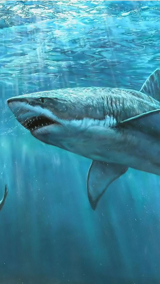 Ilmuwan Temukan Fakta Baru Mengejutkan Tentang Megalodon