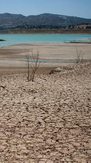 Dampak El Nino Semakin Menguat, Kepala BMKG Beri Peringatan Ini