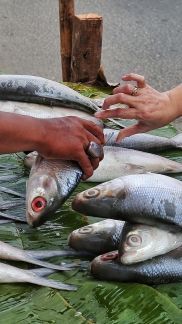 Keunikan Tradisi Malem Selawe di Gresik, Lelang Bandeng di Bulan Ramadan