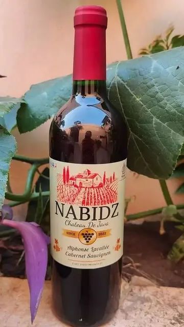 Viral Produk Wine Halal, Kemenag: Izinnya untuk Jus Buah