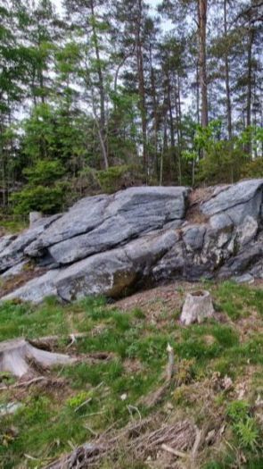 Sedang Naik Gunung, Pria Ini Temukan Batu dengan Lukisan Kuno Berusia 5000 Tahun, Begini Gambarnya